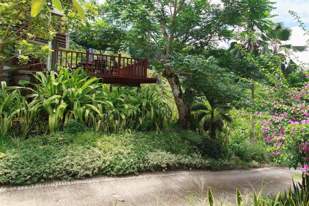 Coco Blanche Apartment Anse Royale Exterior photo